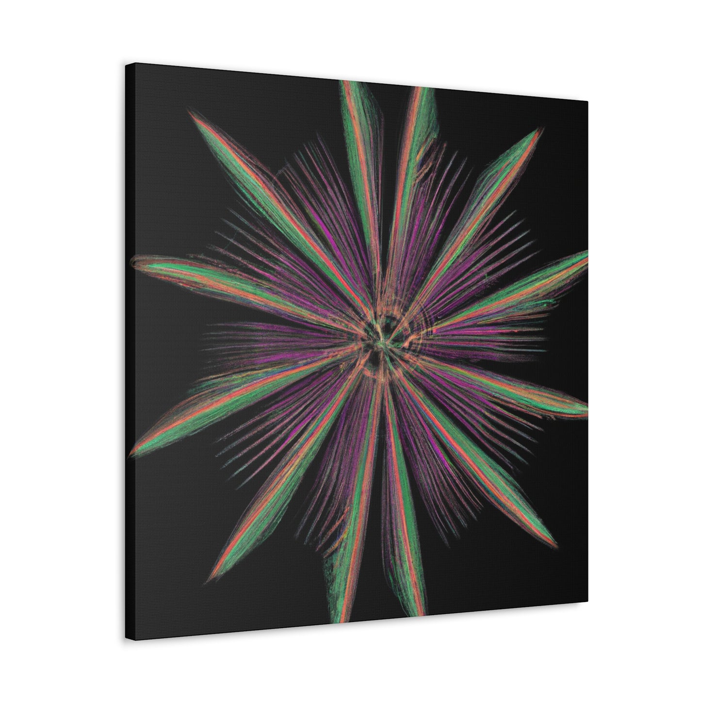 Parmigianino- Canvas