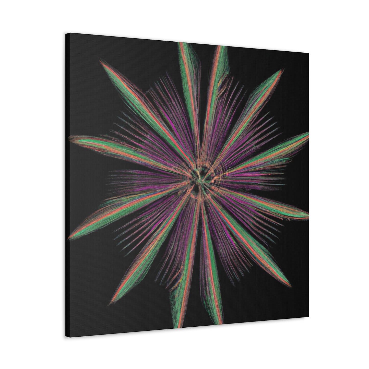 Parmigianino- Canvas