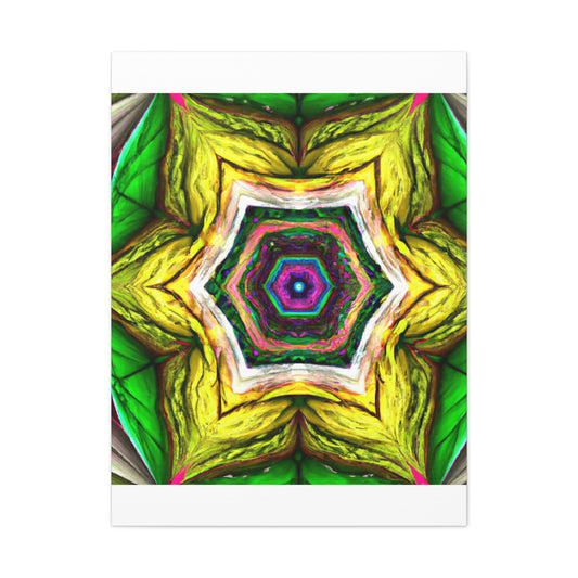 Bartolommeo Montagna- Canvas