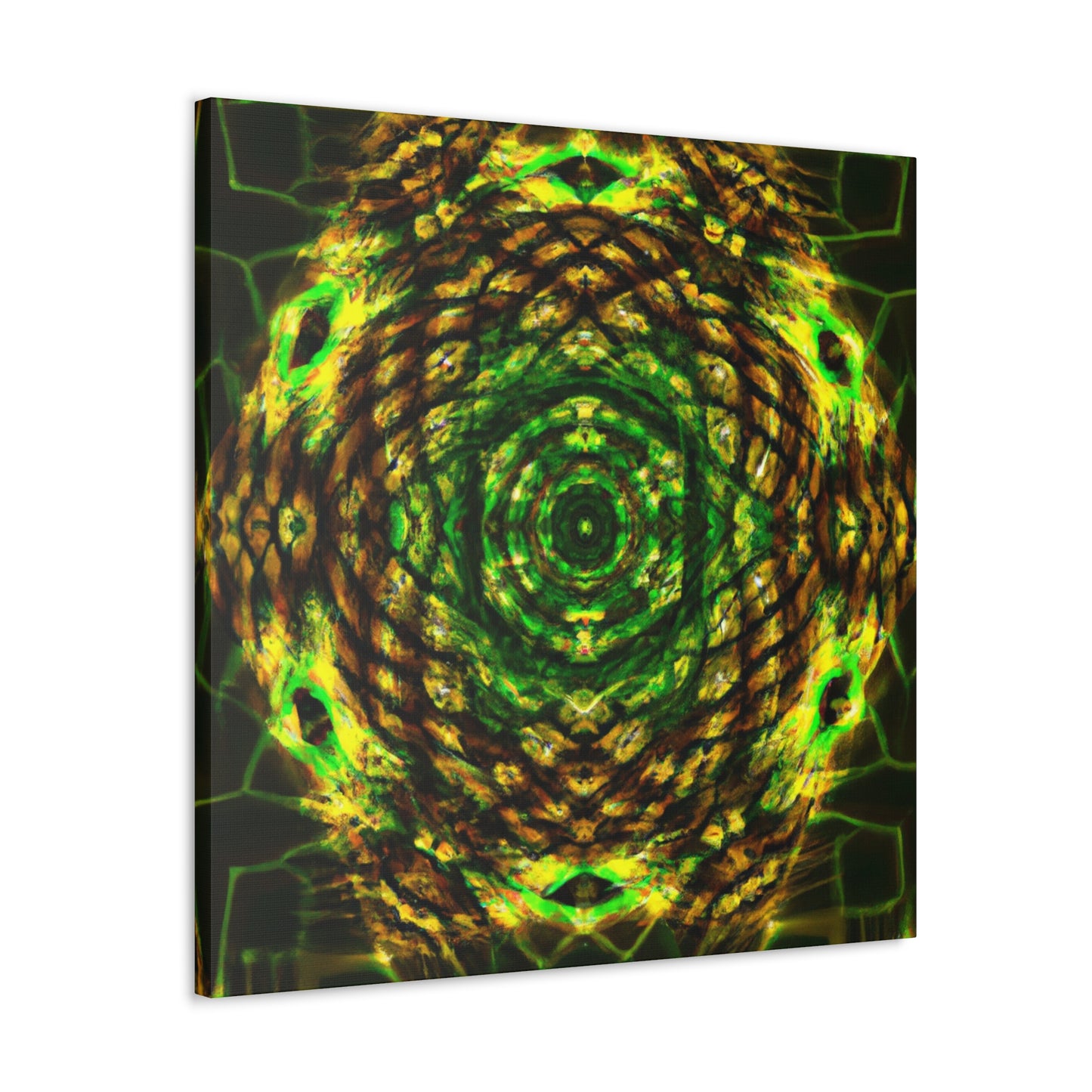 Joshua Reynolds- Canvas