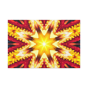 Rembrandt van Rijn- Canvas