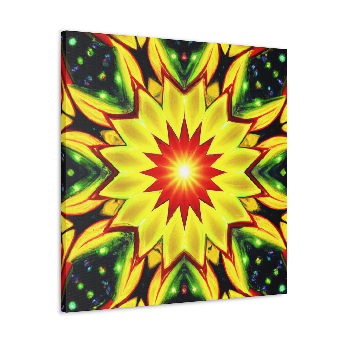 Rembrandt van Rijn- Canvas