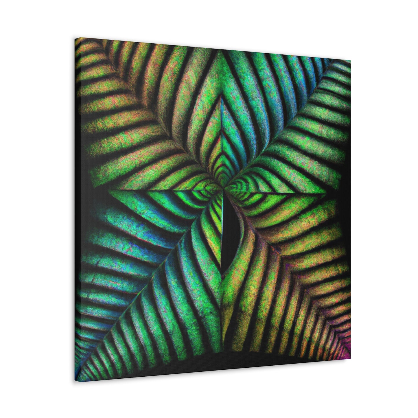 Pieter van Dyck- Canvas