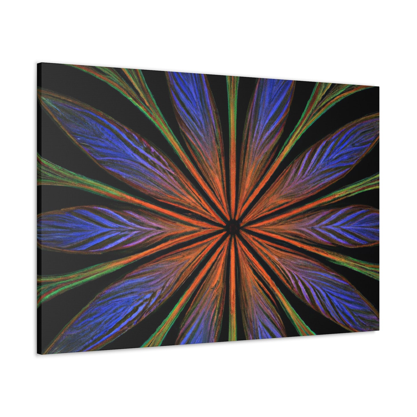 Jacopo Amigoni- Canvas