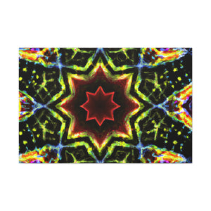 Johannes Vermeer- Canvas