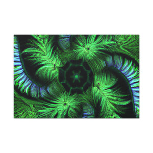 Jacques-Louis David- Canvas